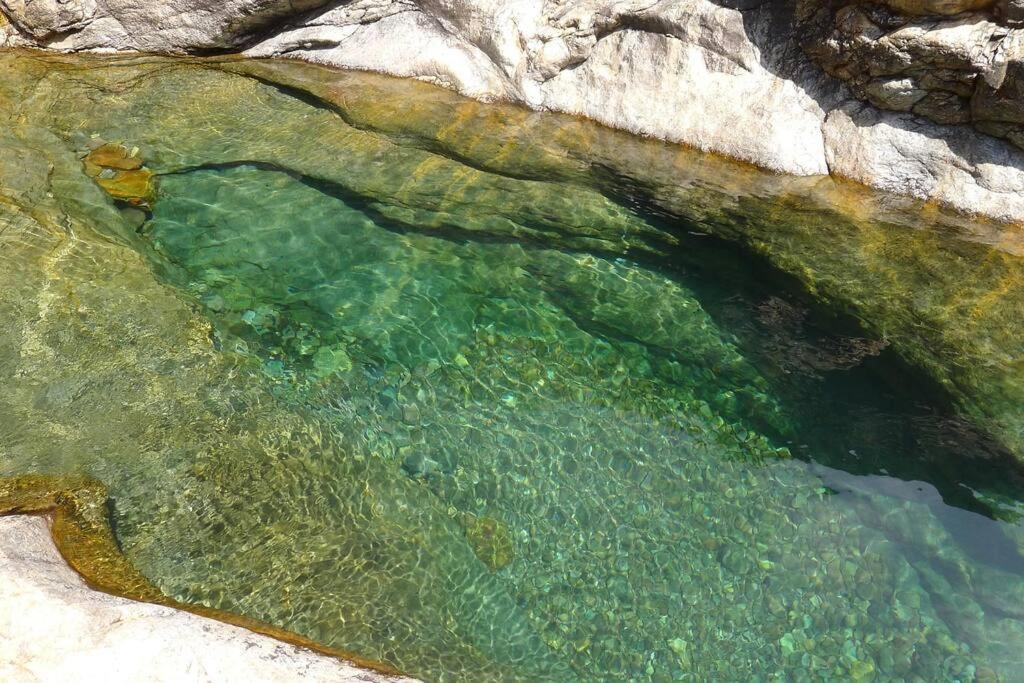 Le Capu Biancu-Location Avec Vue Proche Des Gorges De L Asco Entre Mer Et Montagne Moltifao Экстерьер фото