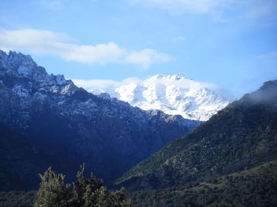 Le Capu Biancu-Location Avec Vue Proche Des Gorges De L Asco Entre Mer Et Montagne Moltifao Экстерьер фото
